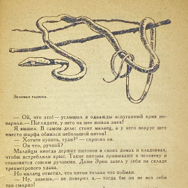 "Змеи-гиганты и страшные ящеры" СССР книга. Картинка 7